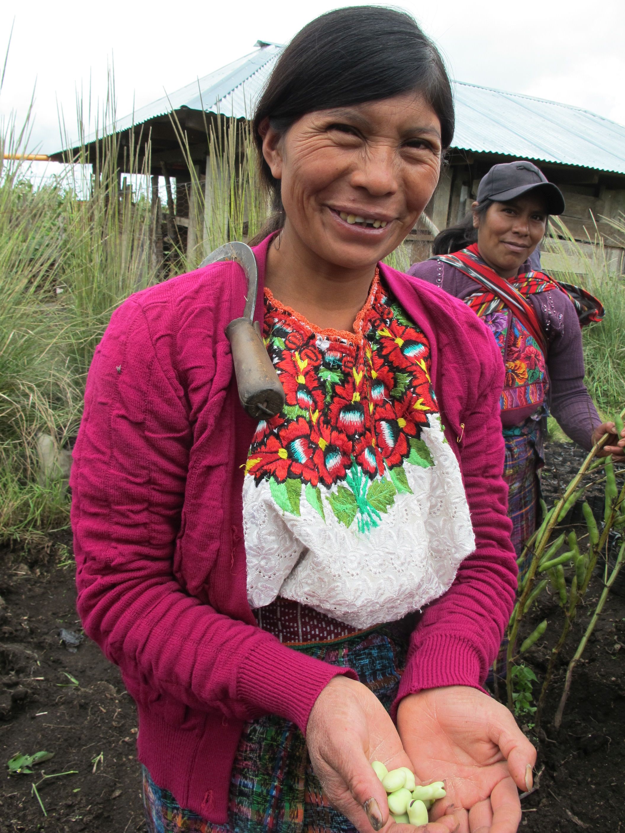 Kleinbauern in Guatamala. Unterstützen Sie Saatgutmärkte und Agroökologische Landwirtschaft.