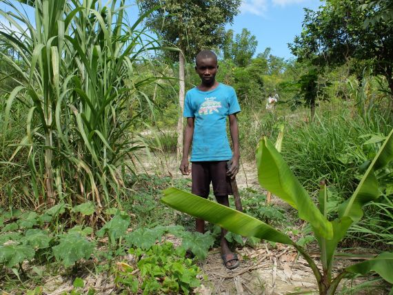 Die Lebensbedingungen im Bassin-Bleu in Haiti sind hart. Agrarökologische Anbaumethoden erwecken kargen Boden zu neuem Leben.
