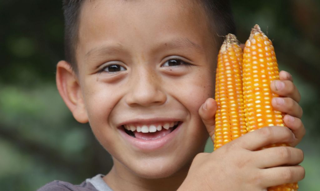 Kolumbianischer Junge mit Maiskolben in der Hand.
