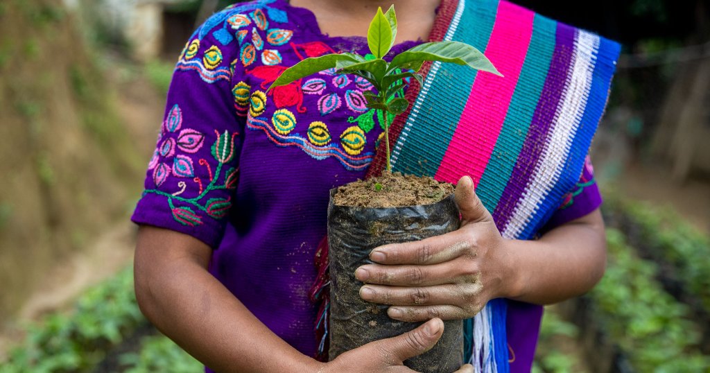 Action de Carême apporte une aide ciblée aux familles paysannes, notamment au Guatemala.