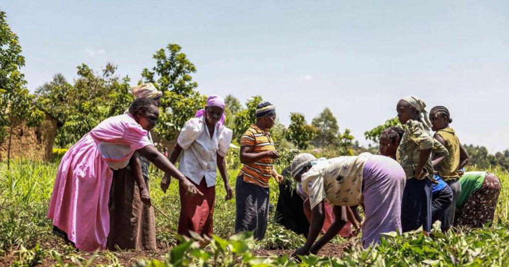 Die Solidaritätsgruppe arbeitet gemeinsam auf einer Farm in Kenia.