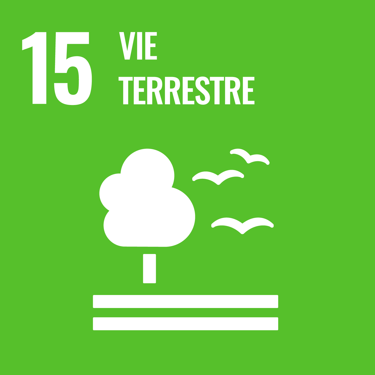 F WEB Goal 15