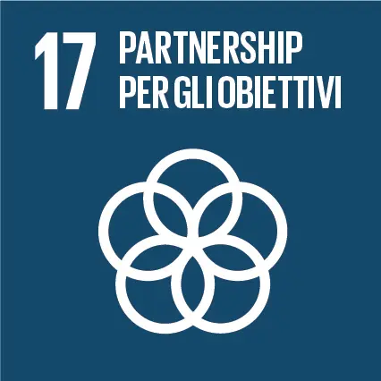SDG-icon-IT-RGB-17