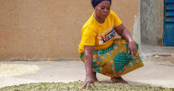 Tout a commencé avec du beurre de karité