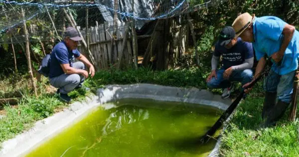 Quels effets du projet as-tu constatés sur la vie des personnes impliquées ?