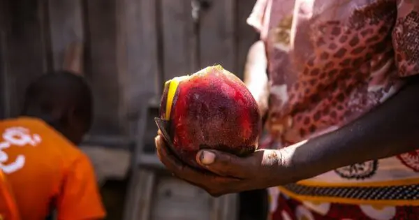 Fait positif, on estime que le nombre de personnes souffrant de la faim a baissé de près de 100 millions par rapport à l’année dernière, atteignant un total de 700 millions. Cela serait-il le signe d’une amélioration globale de la situation ? 