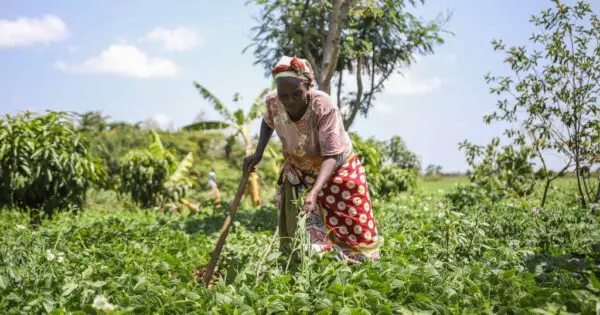 Vous êtes également responsable du programme national d’Action de Carême au Kenya. Quelle est la situation dans ce pays ? 