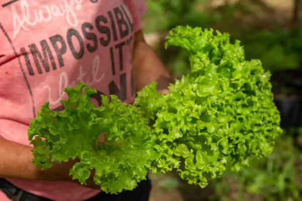 Une seconde chance et un renouveau