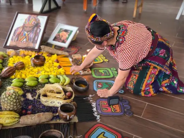 Trois pays, trois approches différentes