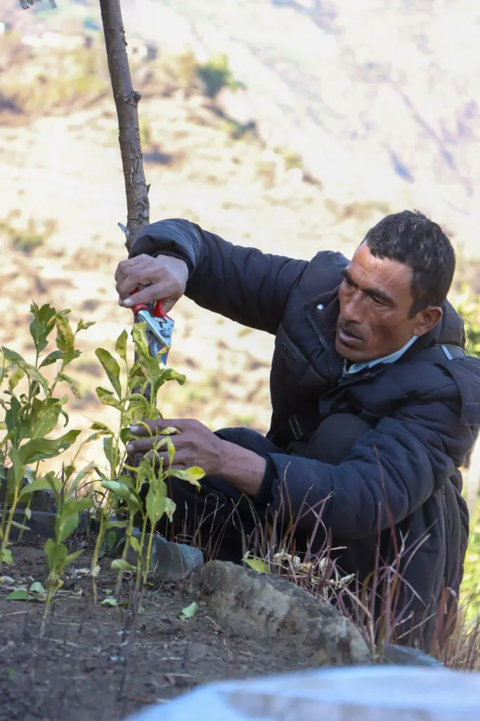Beitrag Jay Bahadur Basnet