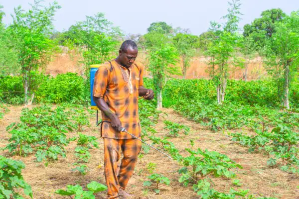 Un obstacle en cas de pluie