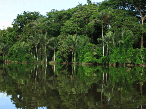 L’engagement de la société civile et des Églises redonne espoir