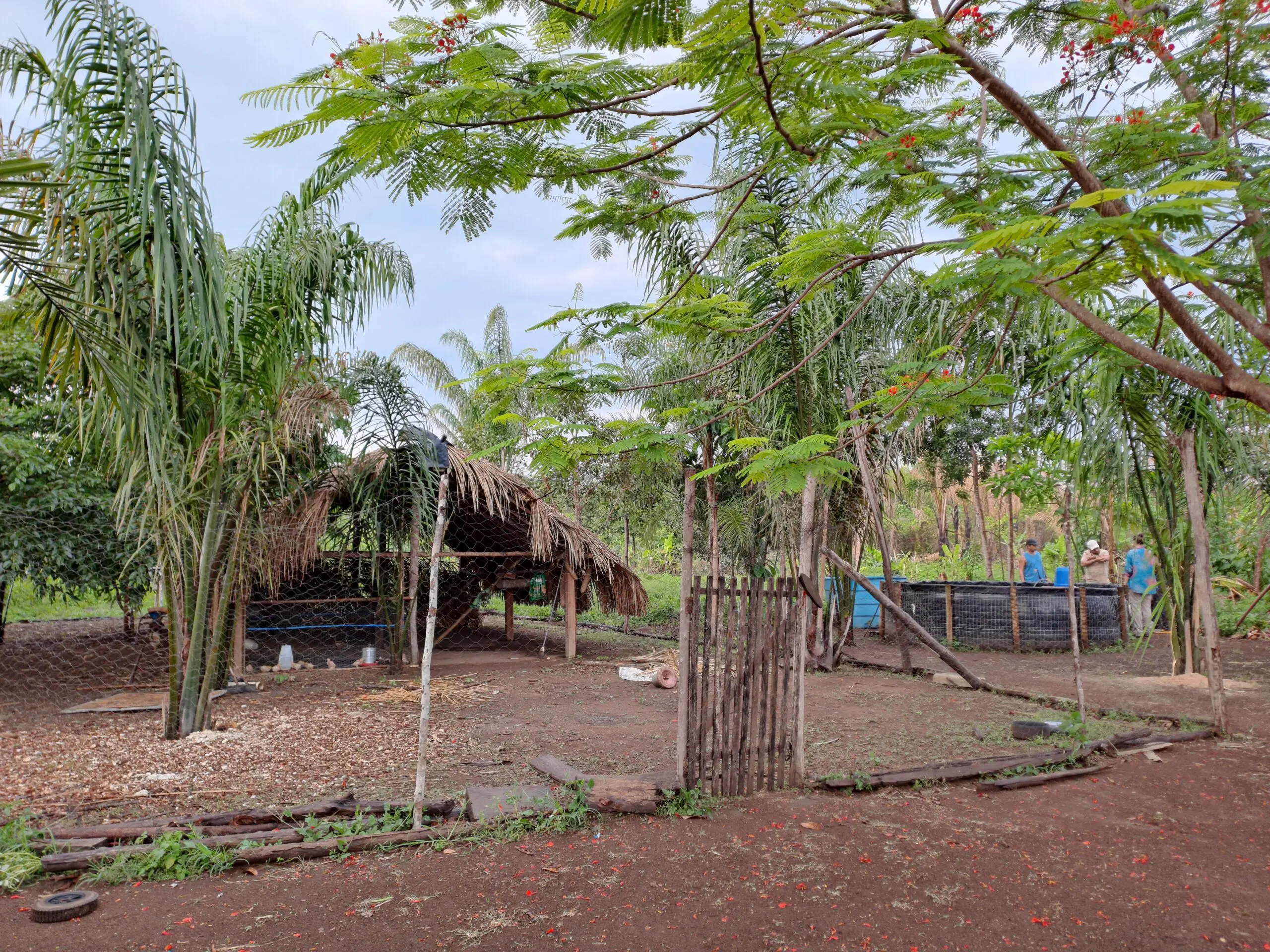 Brasilien, Klimagerechtigkeit, Ernährungsgerechtigkeit, COP30.