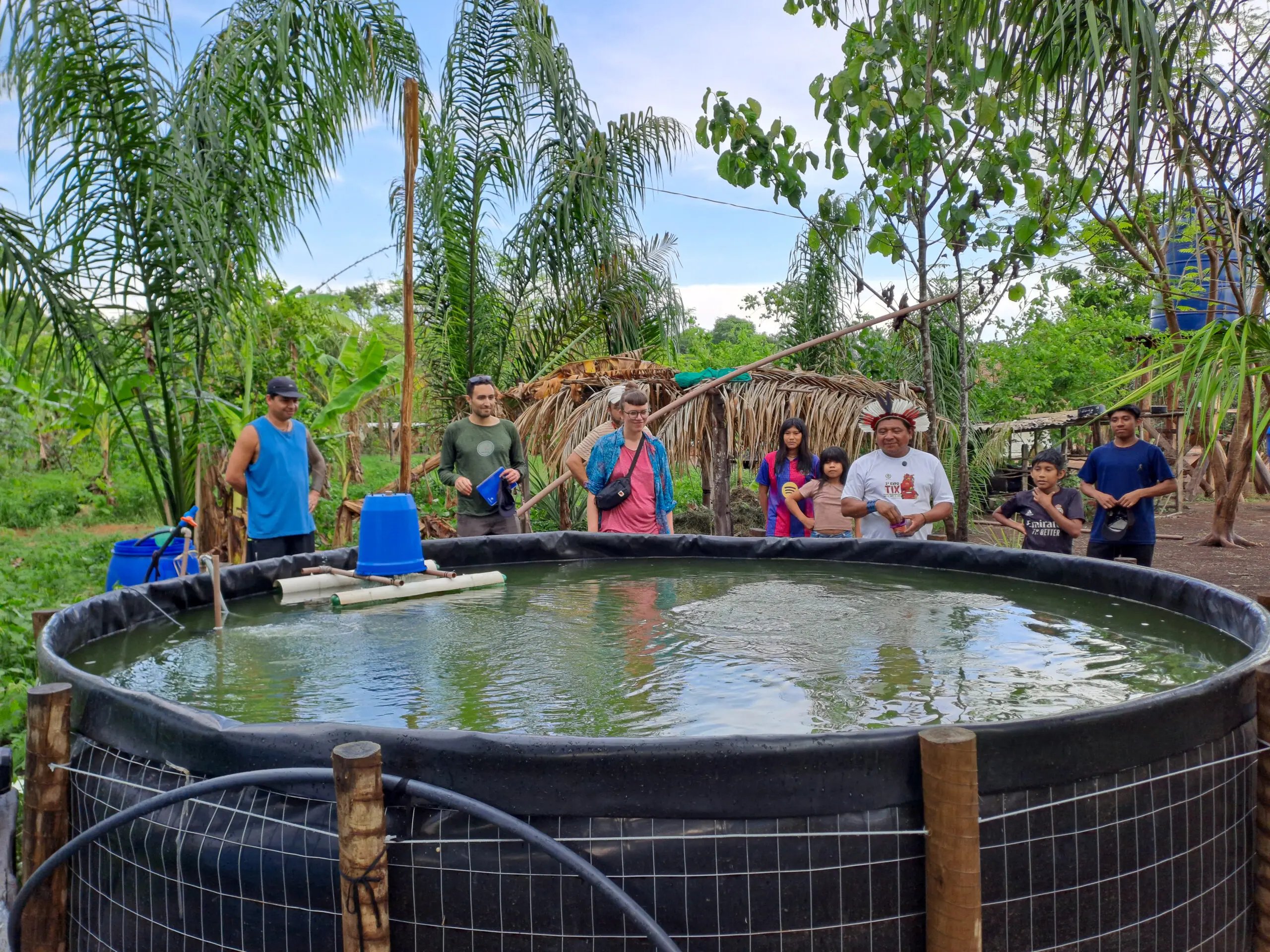 Des jeunes plants « cuits » dans la terre