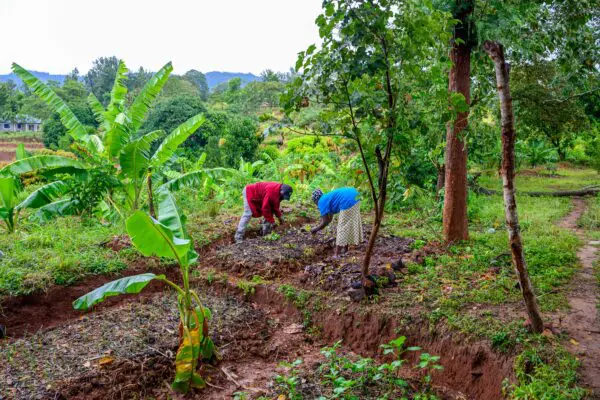 Cultiver la solidarité