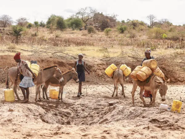 Les causes de la faim