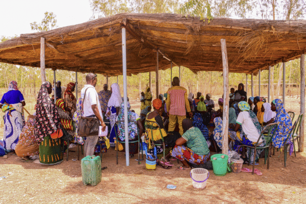 Quand le vivre-ensemble se cultive localement 