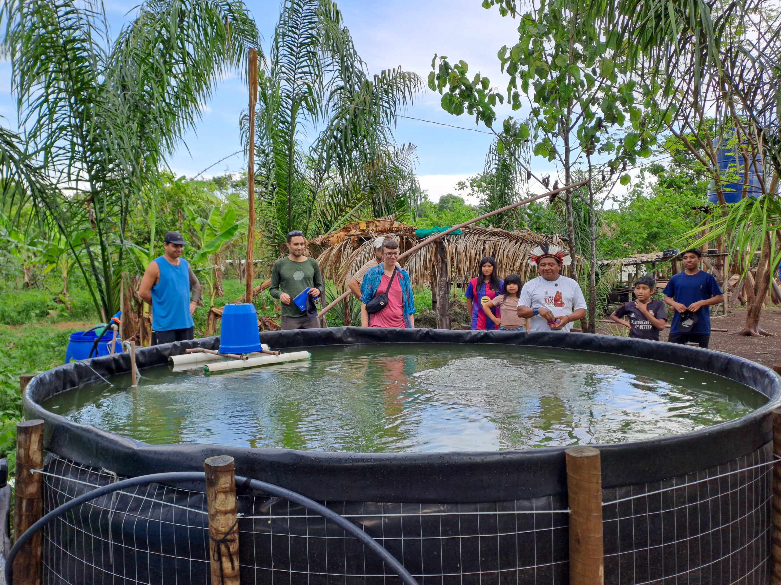 Des jeunes plants « cuits » dans la terre