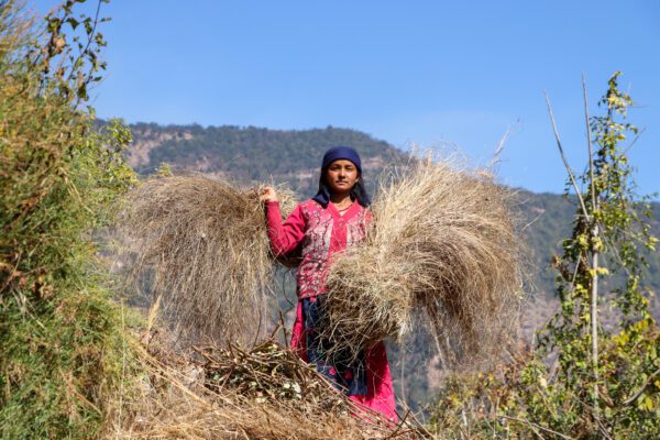 Les pays asiatiques particulièrement touchés